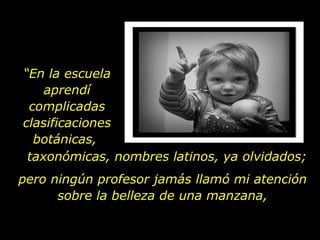 “ En la escuela aprendí complicadas clasificaciones botánicas,  taxonómicas, nombres latinos, ya olvidados; pero ningún profesor jamás llamó mi atención sobre la belleza de una manzana, 
