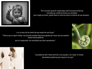 “ En la escuela aprendí complicadas clasificaciones botánicas,  taxonómicas, nombres latinos, ya olvidados; pero ningún profesor jamás llamó mi atención sobre la belleza de una manzana, ...o lo curioso de las simetrías que muestran sus hojas.” “ Parece que en aquel tiempo, las escuelas estaban más preocupadas por hacer que los alumnos memorizaran palabras que en comprender las realidades que ellas representan.” “ Las palabras sólo tienen sentido si nos ayudan a ver mejor el mundo. Aprendemos palabras para mejorar los ojos.” 