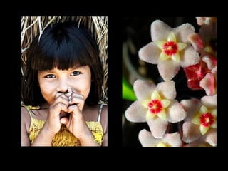 “ Jardins bonitos  há muitos, mas só traz alegria  o jardim que nascer dentro da gente.” Rubem Alves 