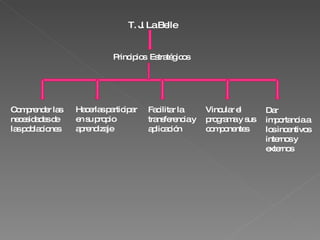 T. J. La Belle Principios  Estratégicos Comprender las necesidades de las poblaciones Hacerlas participar en su propio aprendizaje Facilitar la transferencia y aplicación Vincular el programa y sus componentes Dar importancia a los incentivos internos y externos 