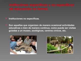 Instituciones no especificas. Son aquellas que organizan de manera ocasional actividades educativas o bien de manera continua, como puede ser visitas guiadas a un museo, zoológicos, centros cívicos, etc. 