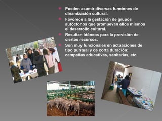 Pueden asumir diversas funciones de dinamización cultural. Favorece a la gestación de grupos autóctonos que promuevan ellos mismos el desarrollo cultural. Resultan idóneos para la provisión de ciertos recursos. Son muy funcionales en actuaciones de tipo puntual y de corta duración: campañas educativas, sanitarias, etc. 