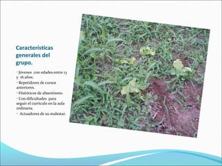 Características
generales del
grupo.
• Jóvenes con edades entre 13
y 16 años.
• Repetidores de cursos
anteriores.
• Históricos de absentismo.
• Con dificultades para
seguir el currículo en la aula
ordinaria.
• Actuadores de su malestar.
 