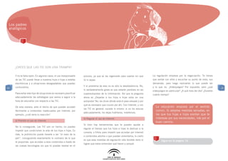 Los padres
 analógicos




     ¿CREES QUE LAS TIC SON UNA trampa?

     Y no te falta razón. En algunos casos, el uso irresponsable    proceso, ya que se las ingeniarán para usarlas sin que      La regulación empieza por la negociación. Te tienes
     de las TIC puede llevar a nuestros hijos e hijas a estafas     tú lo sepas.                                                que sentar con ellos y escuchar su punto de vista, sus
     electrónicas y a situaciones desagradables que puedan                                                                      demandas, para luego razonarles lo que puede ser
                                                                    Y el problema de esto no es sólo la desobediencia. No,      y lo que no. ¿Videojuegos? Por supuesto, pero ¿qué
15   confundirlos.                                                                                                                                                                         15
                                                                    lo verdaderamente grave es que estarán perdidos en las      videojuegos en particular? ¿A qué hora del día? ¿Durante
     Para evitar este tipo de situaciones es necesario planificar   superautopistas de la información. Así que la pregunta      cuánto tiempo?
     adecuadamente las estrategias que vamos a seguir a la          ahora es ¿Dejarías a tus hijos e hijas solos en una
     hora de educarlos con respecto a las TIC.                      autopista? No; les dices dónde está el paso elevado y por
                                                                    qué es necesario que crucen por ahí. Con Internet, y con
     De esta manera, ante el hecho de que puedan acceder                                                                          La educación empieza por el sentido
                                                                    las TIC en general, sucede lo mismo: si no los educas
     fácilmente a contenidos inadecuados por Internet, por                                                                        común. Si adoptas medidas sensatas, en
                                                                    adecuadamente, los dejas huérfanos, indefensos.
     ejemplo, ¿cuál sería tu reacción?                                                                                            las que tus hijas e hijos sientan que te
                                                                    b) Regular el uso de Internet.                                interesas por sus necesidades, irás por el
     a) Prohibir el uso de Internet.
                                                                                                                                  buen camino.
                                                                    Si bien hay herramientas que te pueden ayudar a
     No lo conseguirás. Las TIC son un hecho, no puedes
                                                                    regular el tiempo que tus hijos e hijas le dedican a la
     impedir que condicionen la vida de tus hijos e hijas. Es
                                                                    consola, o filtros para impedir que accedan por Internet
     más, la prohibición puede llevarte a ser “el malo de la
                                                                    a contenidos adultos o que puedan violentarlos, lo cierto
     peli”, consiguiendo exactamente lo contrario de lo que
                                                                    es que esas medidas de regulación sólo tendrán éxito si            SIgue en la página 16.
     te proponías: que accedan a esos contenidos a través de
                                                                    logras que estos entiendan qué hacen y porqué.
     las nuevas tecnologías sin que tú puedas mediar en el
 