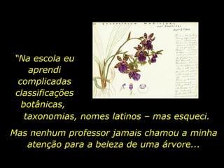 “Na escola eu
aprendi
complicadas
classificações
botânicas,
taxonomias, nomes latinos – mas esqueci.
Mas nenhum professor jamais chamou a minha
atenção para a beleza de uma árvore...
 