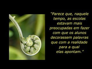 “Parece que, naquele
tempo, as escolas
estavam mais
preocupadas em fazer
com que os alunos
decorassem palavras
que com a realidade
para a qual
elas apontam.”
 