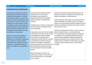 41
TIPOS Y CARACTERÍSTICAS EFECTOS FISIOLÓGICOS EFECTOS PSICOLÓGICOS
CANNABIS SATIVA (MARIHUANA)
La marihuana se obtiene de las ﬂores y
hojas jóvenes de la planta femenina de
la especie Cannabis sativa, una hierba
de la familia del cáñamo. La resina que
produce contiene los ingredientes activos
de la planta. La marihuana contiene 421
sustancias de 18 tipos químicos, siendo
el ingrediente químico más importante el
tetrahidrocannabinol, especíﬁcamente el
delta 9 tetrahidrocannabinol (THC)- con
los posibles efectos sinérgicos de otros
cannabidioles y cannabinoles.
El THC en su forma activa puede ser
retenido en el cuerpo hasta 45 días
después de su introducción al organismo.
Esta se localiza en la grasa corporal,
particularmente en el hígado, pulmones
y testículos, y desaparece lentamente,
siendo estos tejidos más susceptibles al
daño.
Aumento temporal del latido cardiaco
relacionado con la dosis, puede
ser peligroso para aquellos que
padecen hipertensión, enfermedades
cerebrovasculares y arteriosclerosis
coronaria.
Congestión de la conjuntiva: enrojecimiento
de los ojos debido a la dilatación de los
vasos sanguíneos.
Desempeño psicomotor: produce tambaleo
si el fumador se encuentra de pie. Diﬁculta
el desempeño ante tareas complejas.
El consumidor de marihuana tiene
incapacidad de prestar atención constante
e incapacidad de asimilar procesos de
información complejos. Se diﬁculta el
manejo de automóvil, y de otras máquinas.
Estas deﬁciencias pueden durar hasta
10 horas después de iniciarse el estado
elevado.
Efectos respiratorios: contiene más
alquitrán que el tabaco. El uso crónico de
hash está relacionado con la bronquitis,
asma y sinusitis.
Actúa sobre la corteza cerebral, principalmente en las
áreas que controlan la movilidad de los miembros, los
órganos sensoriales y el comportamiento.
Ocasiona lesiones estructurales en la membrana de las
células cerebrales, por adhesión del THC a los tejidos
grasos, con los que tiene gran aﬁnidad, afectando de esta
manera la velocidad de transmisión del impulso nervioso
de una neurona a otra.
Se altera la percepción de la visión, el sonido y el tacto;
afecta el estado de ánimo y la interacción social.
Los consumidores en alto grado expresaron desajustes
en el trabajo y una incapacidad autoreconocida para
enfrentar nuevos problemas. Además expresaron un
desajuste heterosexual y se comprobó que eran más
hostiles hacia la sociedad, más deprimidos y que tenían
un grado mayor de ansiedad que los consumidores
casuales.
 