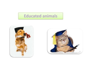 Educated animals
 