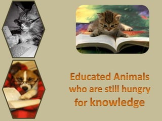 Educated Animals who are still hungry  for knowledge