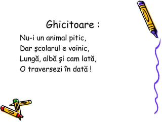 Ghicitoare :
Nu-i un animal pitic,
Dar şcolarul e voinic,
Lungă, albă şi cam lată,
O traversezi în dată !
 