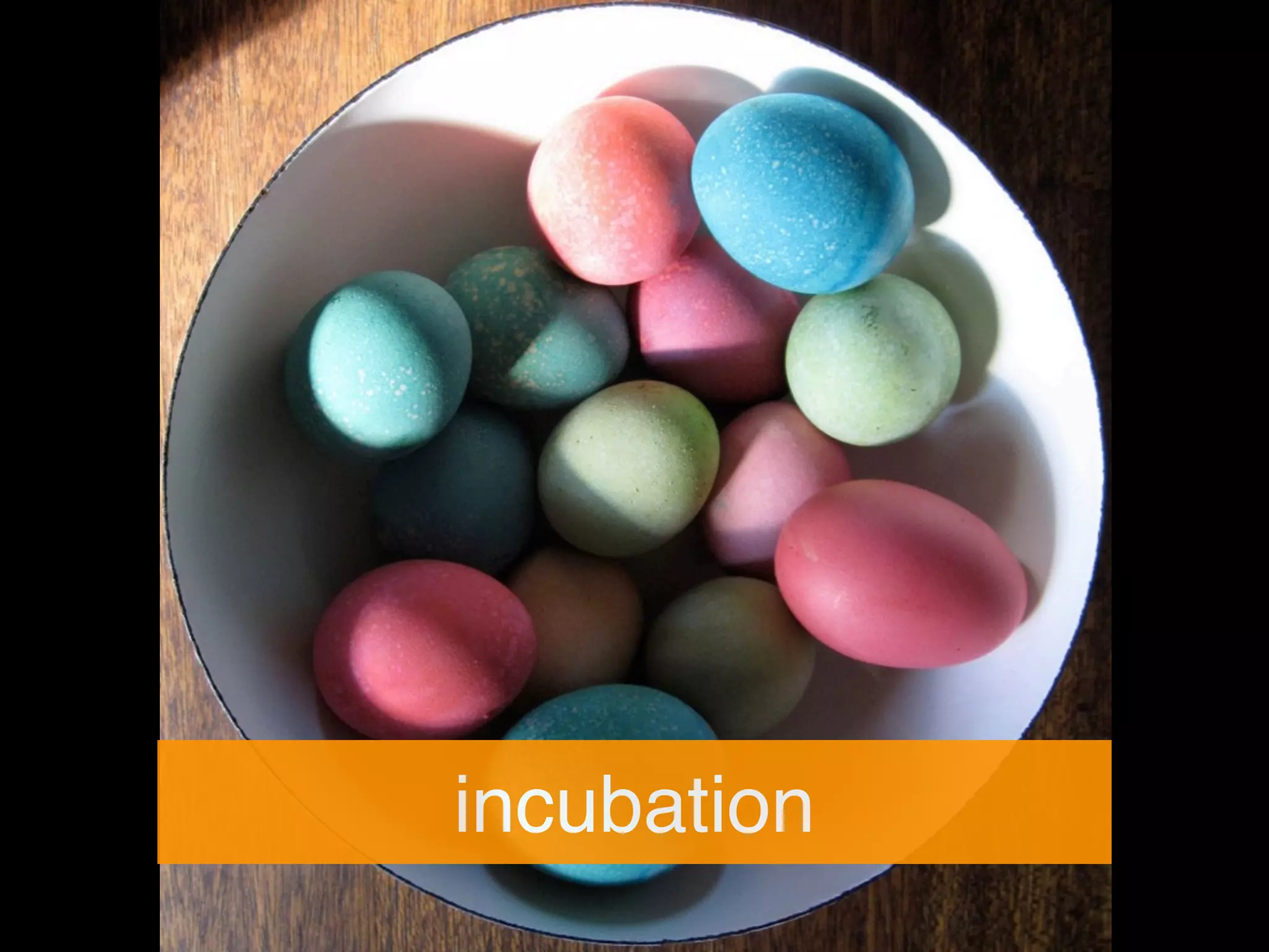 incubation
 