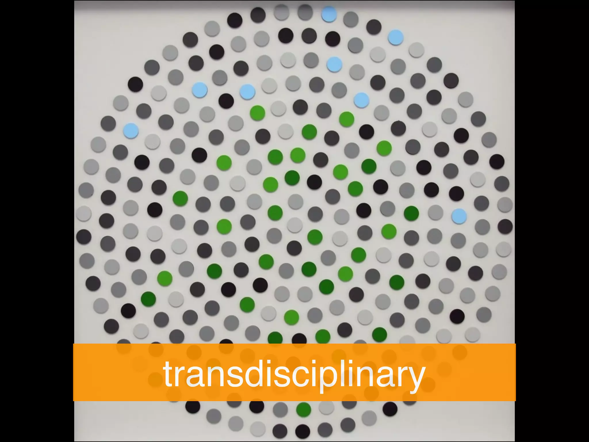 transdisciplinary
 