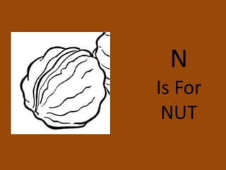 N Is ForNUT
