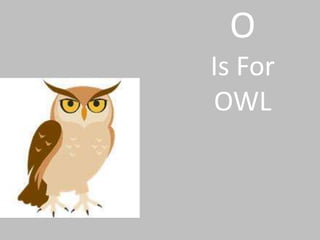 O Is ForOWL