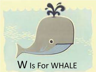 W Is For WHALE