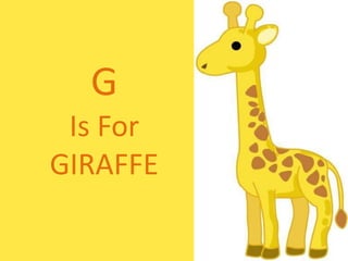 GIs ForGIRAFFE