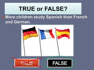 TRUE or FALSE?
 More children study Spanish than French
and German.
 
