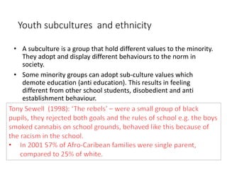 Youth subcultures and ethnicity 
• A subculture is a group that hold different values to the minority. 
They adopt and display different behaviours to the norm in 
society. 
• Some minority groups can adopt sub-culture values which 
demote education (anti education). This results in feeling 
different from other school students, disobedient and anti 
establishment behaviour. 
 