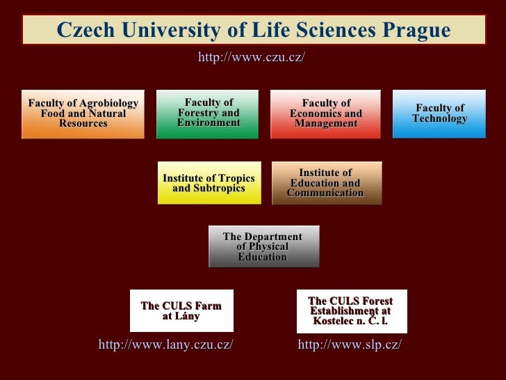 czech education system presentation