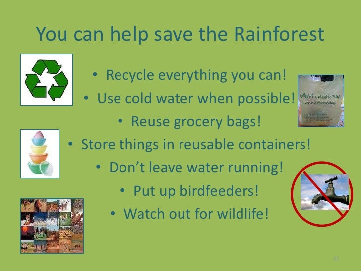 Education 6305 rainforest