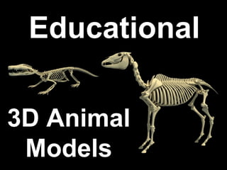 Educational
3D Animal
Models
 