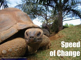 Speed
of Changecc licensed ( BY NC SA ) flickr photo by Joachim S. Müller:
http://flickr.com/photos/joachim_s_mueller/181340272/
 