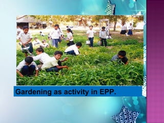 Gardening as activity in EPP.
 