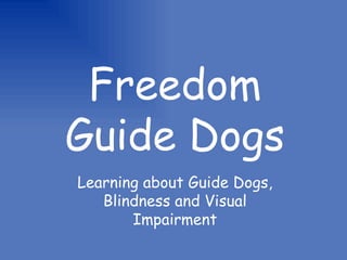 Freedom Guide Dogs Learning about Guide Dogs, Blindness and Visual Impairment 