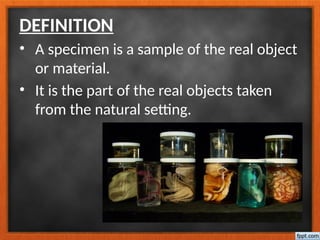 DEFINITION
• A specimen is a sample of the real object
or material.
• It is the part of the real objects taken
from the natural setting.
 