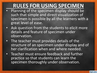 RULES FOR USING SPECIMEN
• Planning of the specimen display should be
such that simple and direct visualization of
specimen is possible by all the learners with a
great level of ease.
• Ask question from the students to elicit more
details and feature of specimen under
observation.
• The teacher must provides details of the
structure of an specimen under display and of
her clarification when and where needed.
• Teacher must ensure feedback and further
practice so that students can learn the
specimen thoroughly under observation.
 