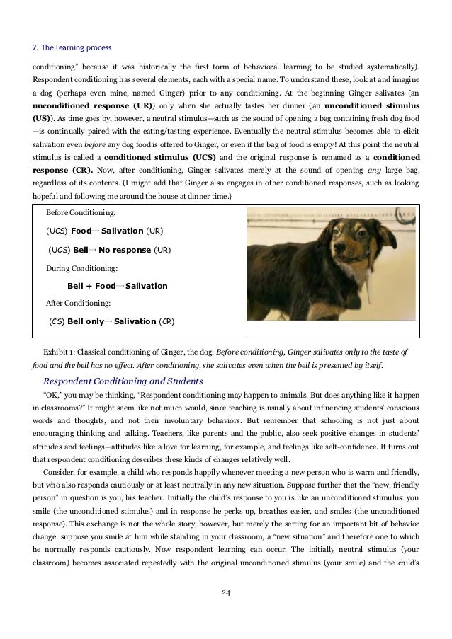 In Pavlov S Research With Dogs Salivation Eventually Became The In Pavlov S Research With Dogs Salivation Eventually Became The