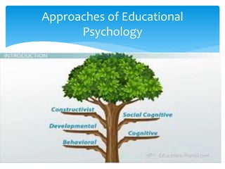 15
Approaches of Educational
Psychology
 