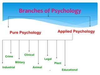 Branches of Psychology
Pure Psychology Applied Psychology
Industrial
Crime
Military
Clinical
Animal
Legal
Plant
Educational6
 