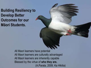 Building Resiliency to
Develop Better
Outcomes for our
Māori Students.
All Maori learners have potential
All Maori learners are culturally advantaged
All Maori learners are inherently capable
Blessed by the virtue of who they are.
(A.Parata, 2009, Ka Hikitia)
 