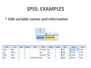SPSS: EXAMPLES
• Edit variable names and information
 