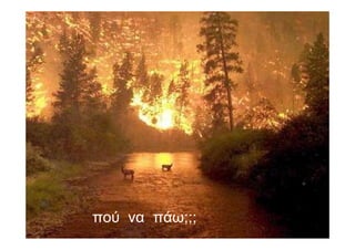 … πού να πάω;;;
 