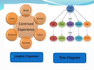  Graphic Organizer
Tree Diagram
 