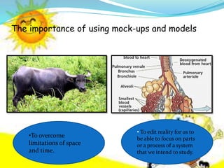 The importance of using mock-ups and models
• To edit reality for us to
be able to focus on parts
or a process of a system
that we intend to study.
•To overcome
limitations of space
and time.
 