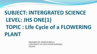 SUBJECT: INTERGRATED SCIENCE
LEVEL: JHS ONE(1)
TOPIC : Life Cycle of a FLOWERING
PLANT
PREPARED BY ADAM SUMAILA
UNIVERSITY OF EDUCATION,WINNEBA
GHANA
 