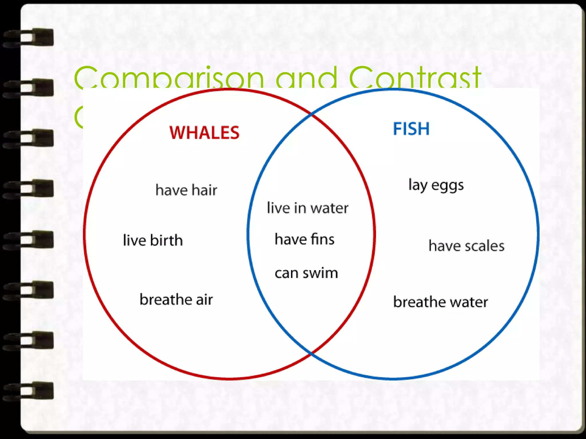 Comparison and Contrast
Chart

 