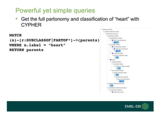 Powerful yet simple queries
• Get the full partonomy and classification of “heart” with
CYPHER
MATCH
(n)-[r:SUBCLASSOF|PAR...
