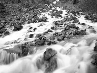 Education and Certifications