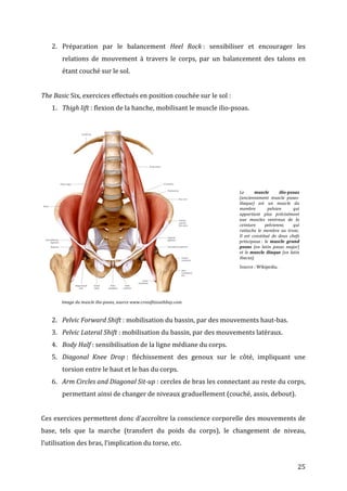   25	
  
2. Préparation	
   par	
   le	
   balancement	
   Heel	
   Rock	
  :	
   sensibiliser	
   et	
   encourager	
   les	
  
relations	
   de	
   mouvement	
   à	
   travers	
   le	
   corps,	
   par	
   un	
   balancement	
   des	
   talons	
   en	
  
étant	
  couché	
  sur	
  le	
  sol.	
  
	
  
The	
  Basic	
  Six,	
  exercices	
  effectués	
  en	
  position	
  couchée	
  sur	
  le	
  sol	
  :	
  
1. Thigh	
  lift	
  :	
  flexion	
  de	
  la	
  hanche,	
  mobilisant	
  le	
  muscle	
  ilio-­‐psoas.	
  
	
  
	
  
	
   Image	
  du	
  muscle	
  ilio-­‐psoas,	
  source	
  www.crossfitsouthbay.com.	
  
	
  
2. Pelvic	
  Forward	
  Shift	
  :	
  mobilisation	
  du	
  bassin,	
  par	
  des	
  mouvements	
  haut-­‐bas.	
  
3. Pelvic	
  Lateral	
  Shift	
  :	
  mobilisation	
  du	
  bassin,	
  par	
  des	
  mouvements	
  latéraux.	
  
4. Body	
  Half	
  :	
  sensibilisation	
  de	
  la	
  ligne	
  médiane	
  du	
  corps.	
  
5. Diagonal	
   Knee	
   Drop	
  :	
   fléchissement	
   des	
   genoux	
   sur	
   le	
   côté,	
   impliquant	
   une	
  
torsion	
  entre	
  le	
  haut	
  et	
  le	
  bas	
  du	
  corps.	
  
6. Arm	
  Circles	
  and	
  Diagonal	
  Sit-­‐up	
  :	
  cercles	
  de	
  bras	
  les	
  connectant	
  au	
  reste	
  du	
  corps,	
  
permettant	
  ainsi	
  de	
  changer	
  de	
  niveaux	
  graduellement	
  (couché,	
  assis,	
  debout).	
  	
  	
  
	
  
Ces	
  exercices	
  permettent	
  donc	
  d’accroître	
  la	
  conscience	
  corporelle	
  des	
  mouvements	
  de	
  
base,	
   tels	
   que	
   la	
   marche	
   (transfert	
   du	
   poids	
   du	
   corps),	
   le	
   changement	
   de	
   niveau,	
  
l’utilisation	
  des	
  bras,	
  l’implication	
  du	
  torse,	
  etc.	
  
Le	
   muscle	
   ilio-­‐psoas	
  
(anciennement	
   muscle	
   psoas-­‐
iliaque)	
   est	
   un	
   muscle	
   du	
  
membre	
   pelvien	
   qui	
  
appartient	
   plus	
   précisément	
  
aux	
   muscles	
   ventraux	
   de	
   la	
  
ceinture	
   pelvienne,	
   qui	
  
rattache	
   le	
   membre	
   au	
   tronc.	
  
Il	
   est	
   constitué	
   de	
   deux	
   chefs	
  
principaux	
  :	
   le	
   muscle	
   grand	
  
psoas	
   (en	
   latin	
   psoas	
   major)	
  
et	
  le	
  muscle	
  iliaque	
  (en	
  latin	
  
iliacus).	
  	
  
Source	
  :	
  Wikipedia.	
  
 