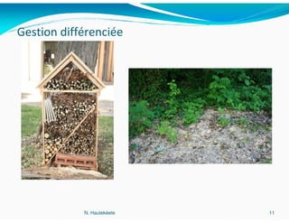 Gestion différenciée




            N. Hautekèete   11
 