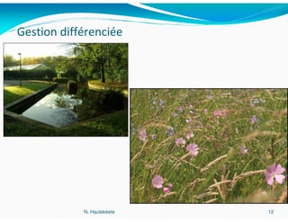 Gestion différenciée




            N. Hautekèete   12
 