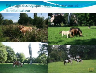 Pâturage écologique : écolo, formateur et
sensibilisateur




            N. Hautekèete                   13
 