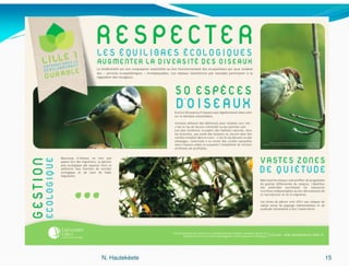N. Hautekèete   15
 