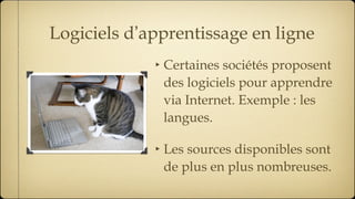 Logiciels d ’ apprentissage en ligne Certaines sociétés proposent des logiciels pour apprendre via Internet. Exemple : les langues. Les sources disponibles sont de plus en plus nombreuses. 
