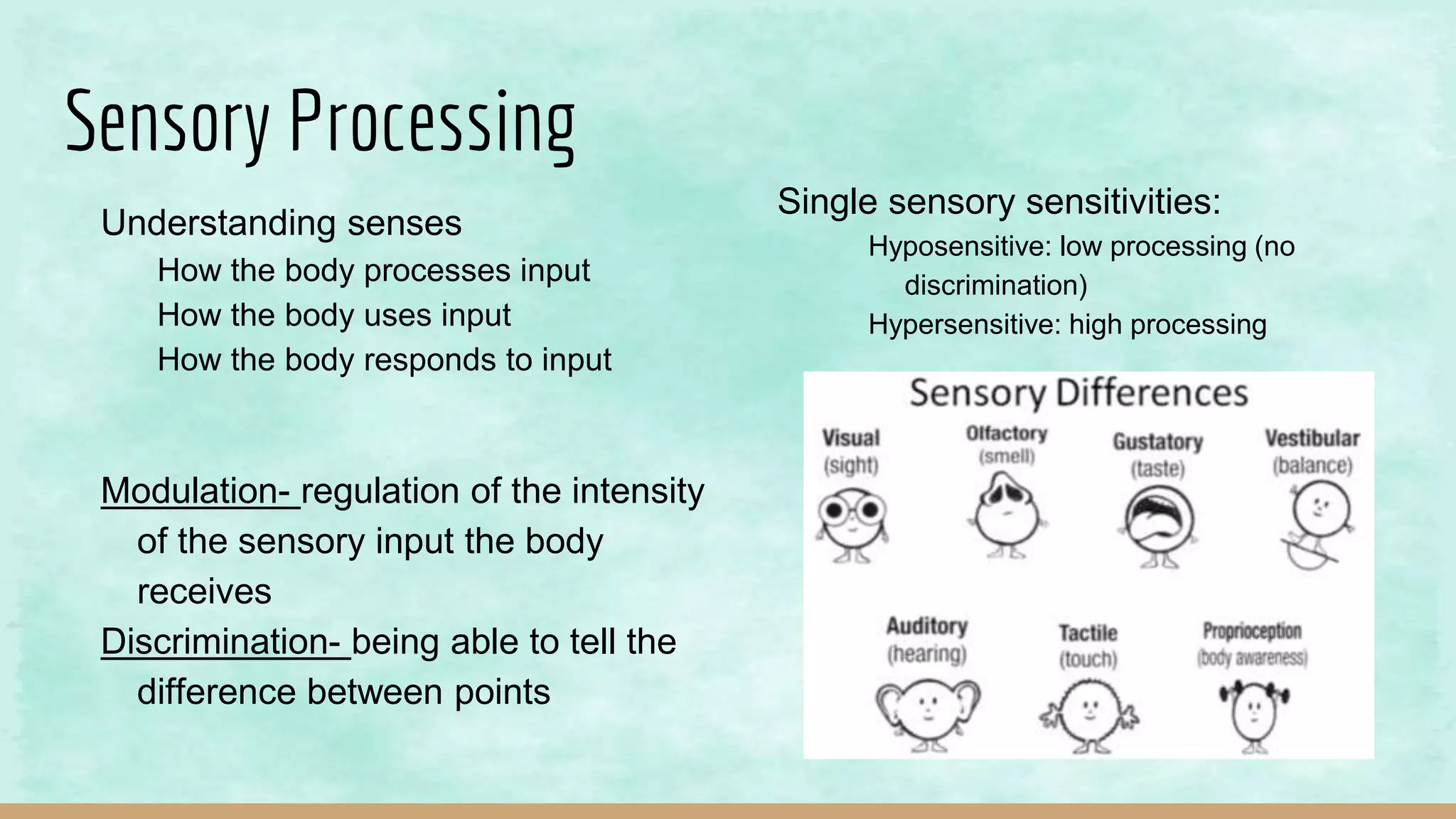 Sensory Processing
Understanding senses
How the body processes input
How the body uses input
How the body responds to input
Modulation- regulation of the intensity
of the sensory input the body
receives
Discrimination- being able to tell the
difference between points
Single sensory sensitivities:
Hyposensitive: low processing (no
discrimination)
Hypersensitive: high processing
 