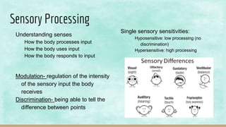 Sensory Processing
Understanding senses
How the body processes input
How the body uses input
How the body responds to input
Modulation- regulation of the intensity
of the sensory input the body
receives
Discrimination- being able to tell the
difference between points
Single sensory sensitivities:
Hyposensitive: low processing (no
discrimination)
Hypersensitive: high processing
 